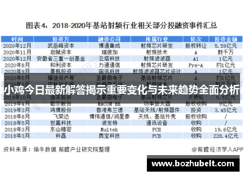 小鸡今日最新解答揭示重要变化与未来趋势全面分析